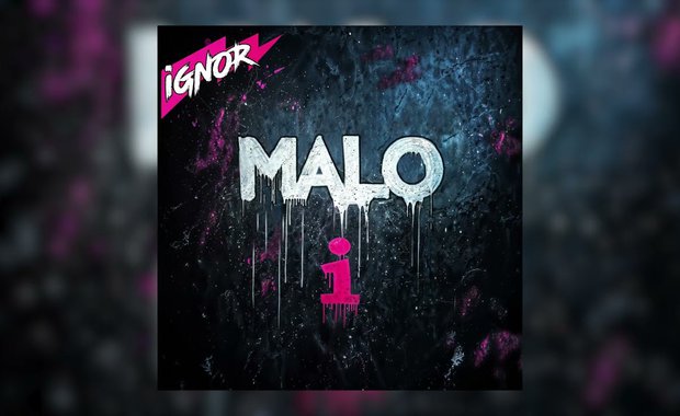 Ako niste znali, ignor se piše s MALO I photo 1